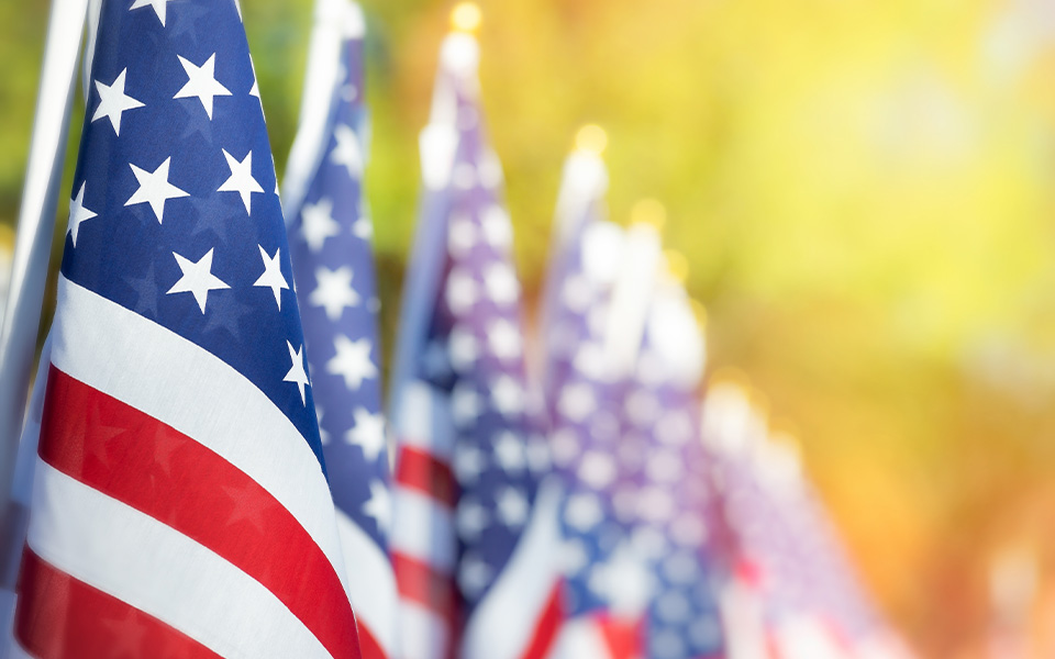 Closeup of an American flag in a row. Veterans Day concept.